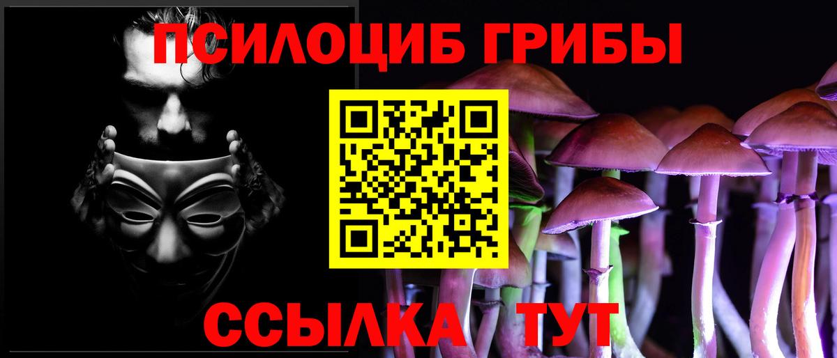 Псилоцибиновые грибы прущие грибы Узловая